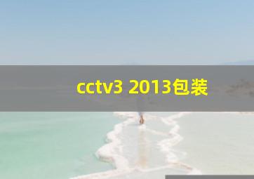 cctv3 2013包装